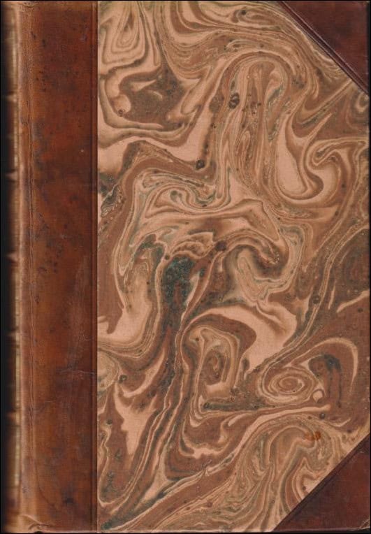 August Blanche : Flickan i stadsgården