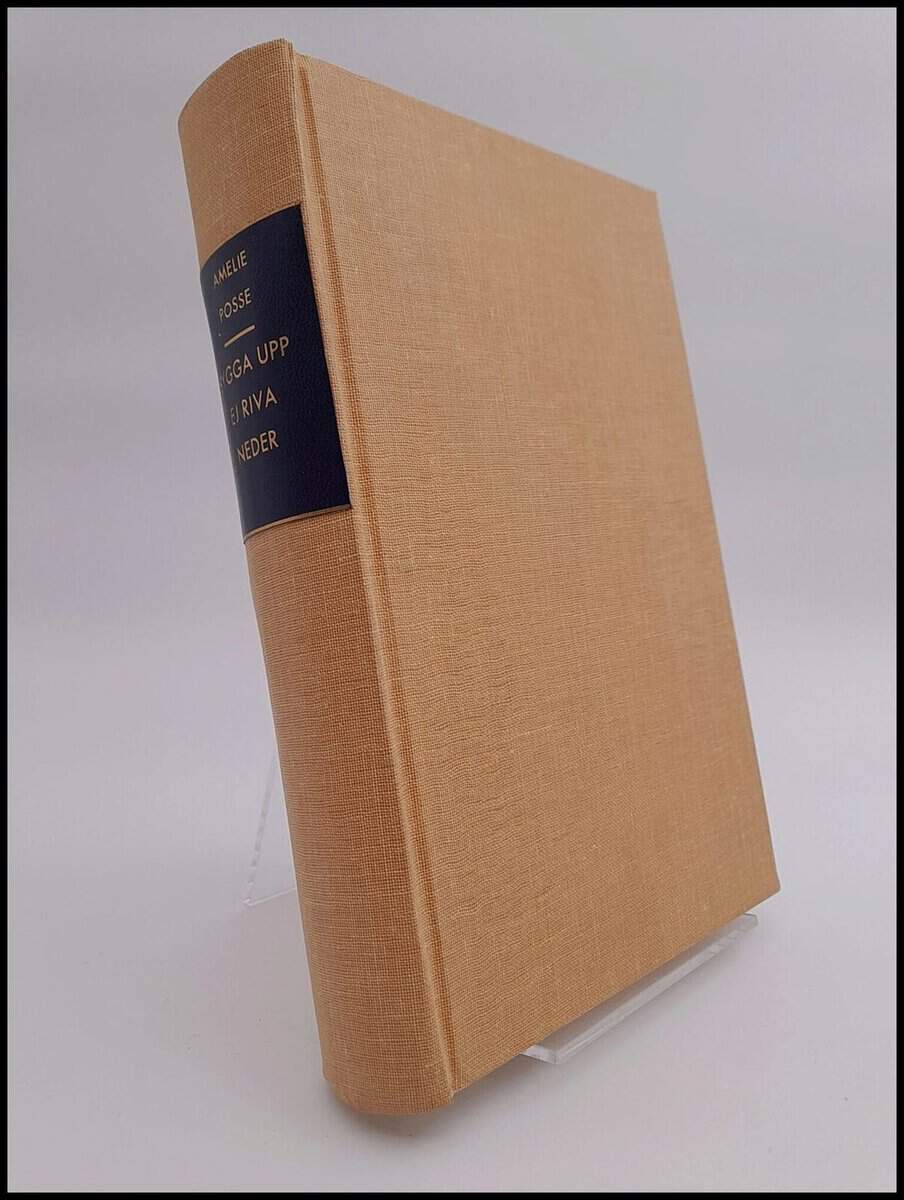 Amelie Posse : Bygga upp ej riva neder