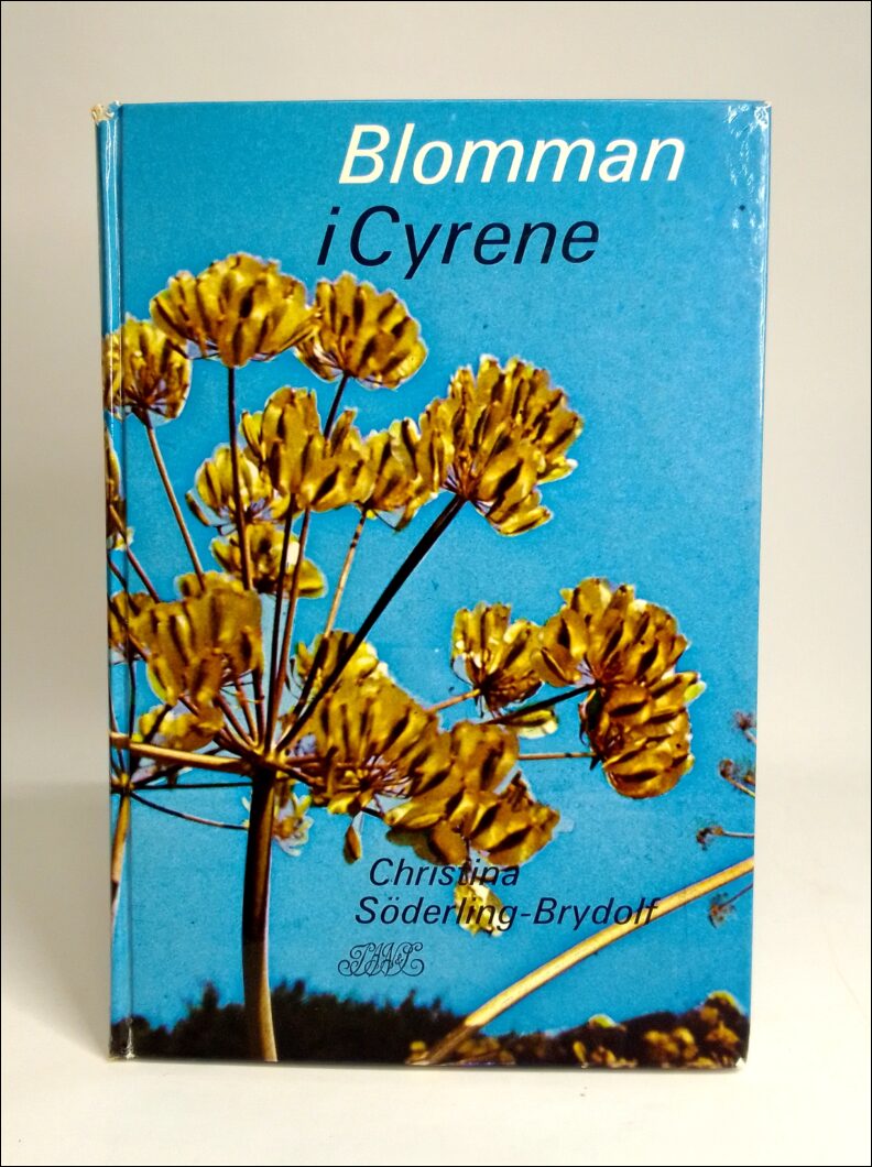 Christina Söderling-Brydolf : Blomman i Cyrene