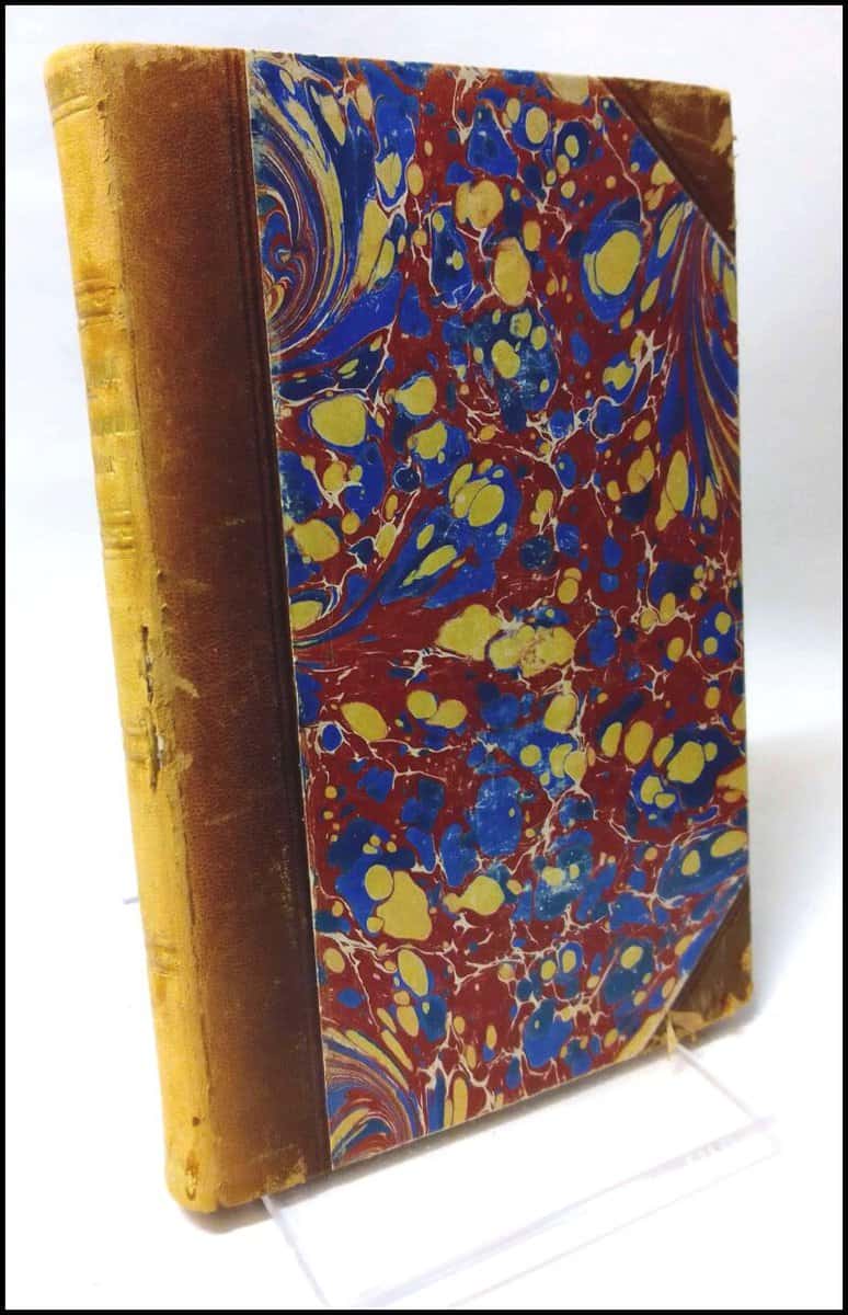 Paul de Kock : En vildhjernas memoirer