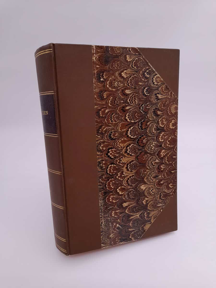 Framtiden : 1869/2:e band