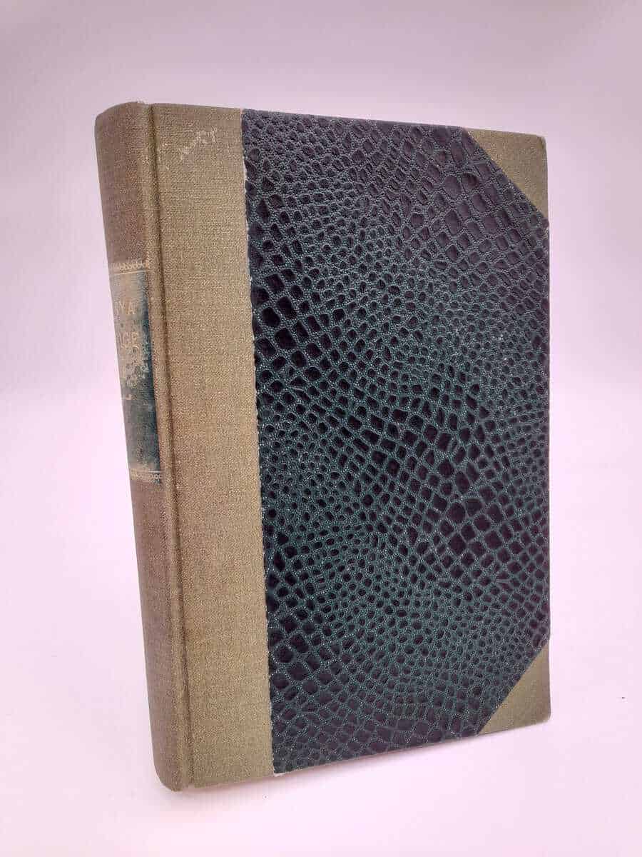 Det nya Sverige : 1918