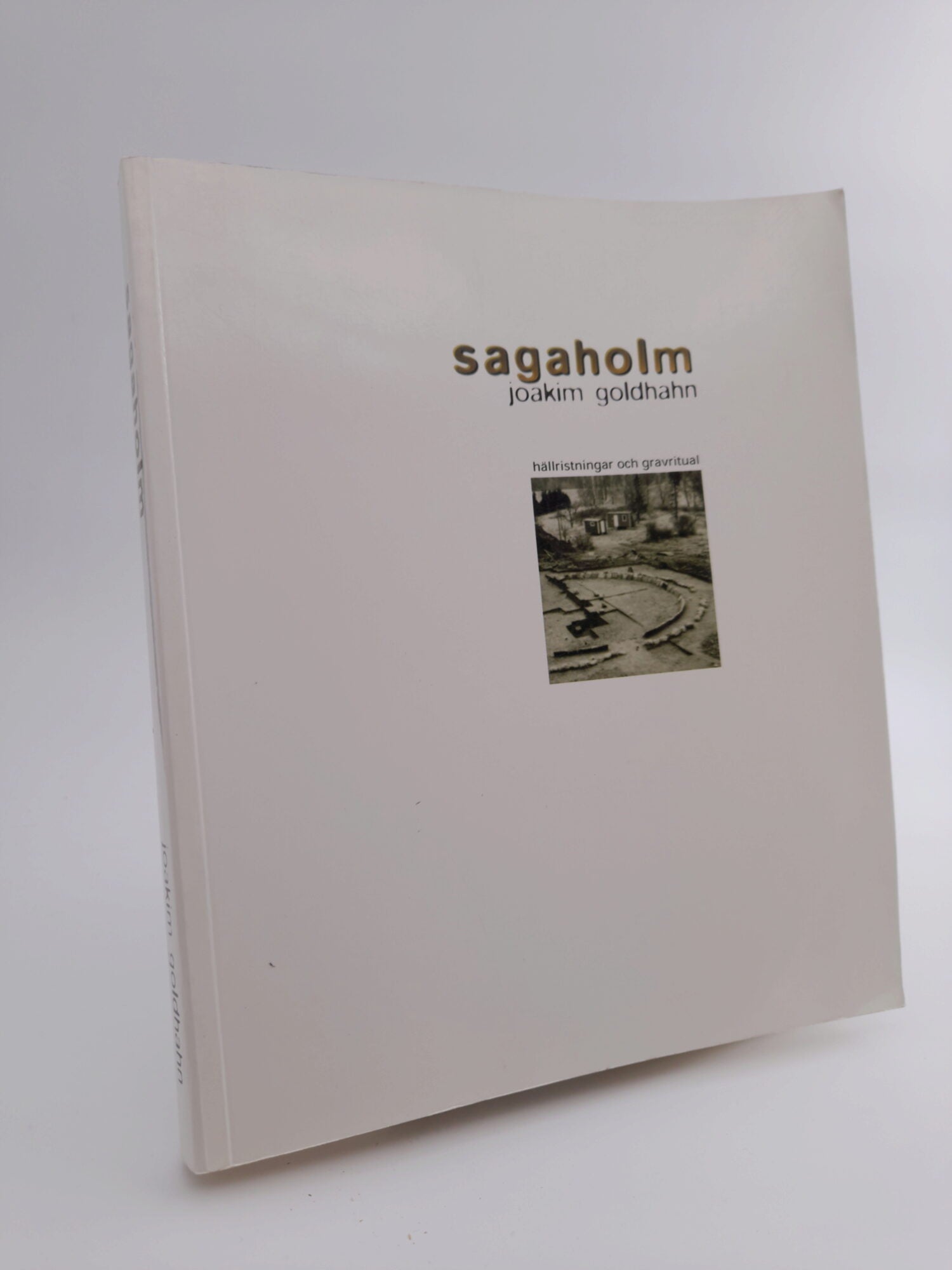Joakim Goldhahn : Sagaholm