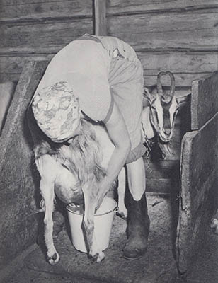 Thorborg Tryggvesdotter Thyselius : Fäbodvall