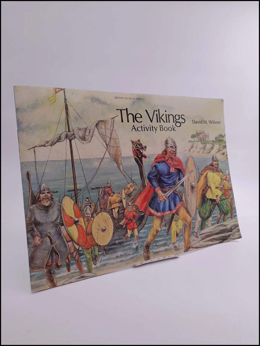David M. Wilson : The vikings activity book