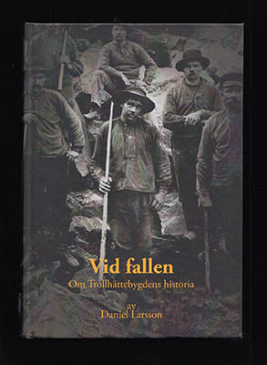 Daniel Larsson : Vid fallen