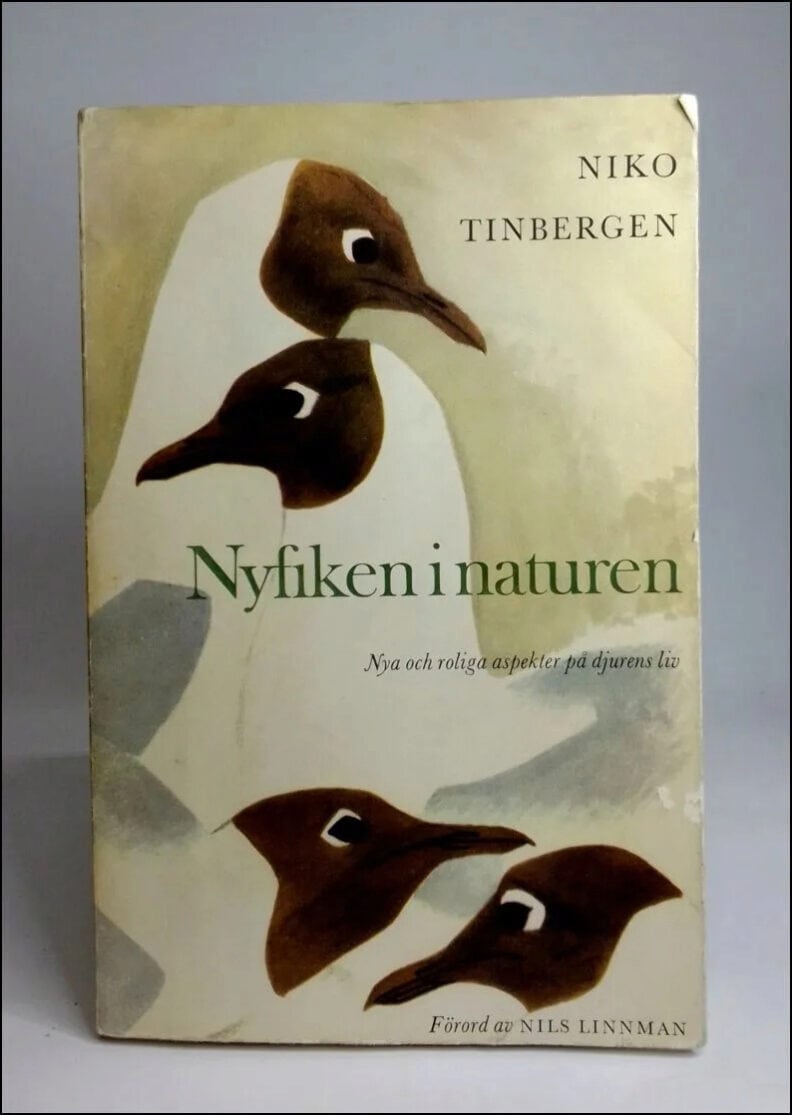 Niko Tinbergen : Nyfiken i naturen