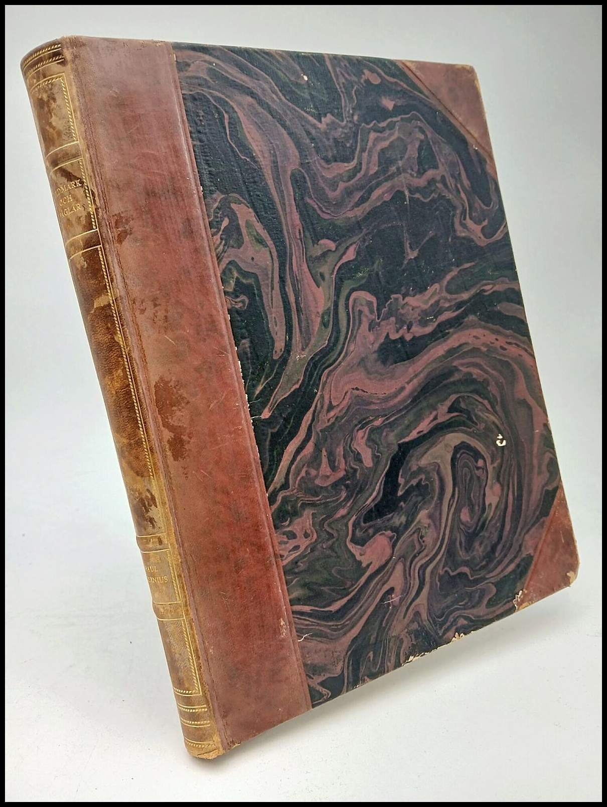 Paul Rosenius : Vildmark och fåglar