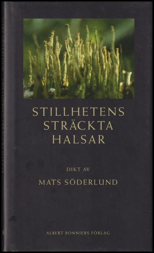 Mats Söderlund : Stillhetens sträckta halsar