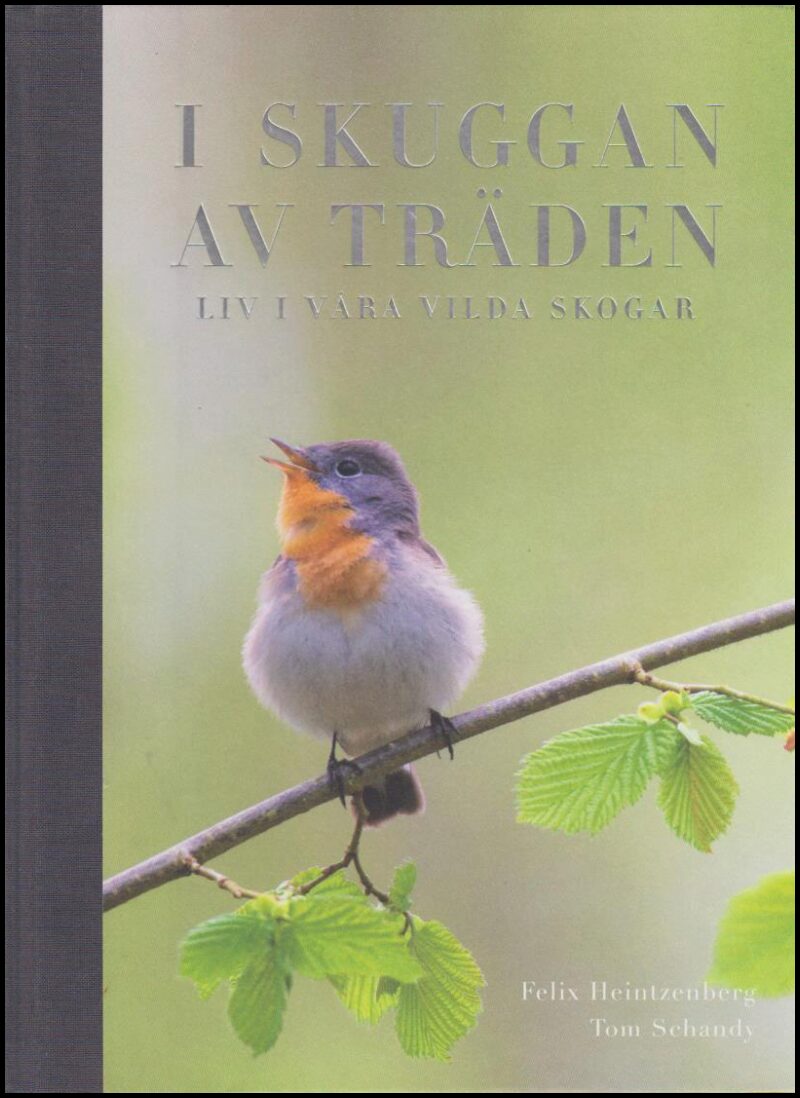 Heintzenberg, Felix ; Schandy, Tom : I skuggan av träden