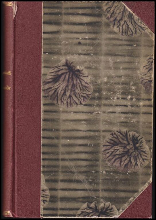 Maxim Gorki : Valda berättelser