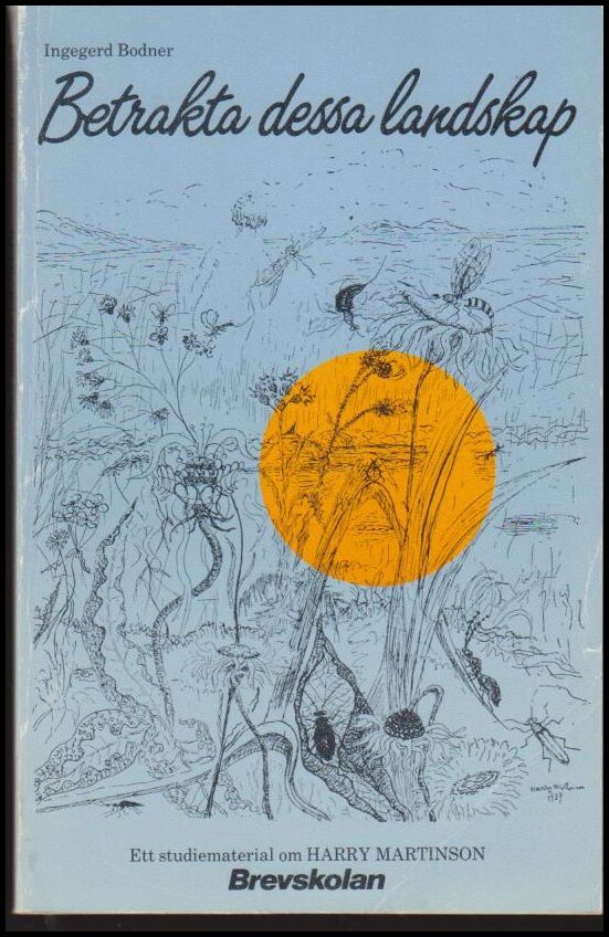 Ingegerd Bodner : Betrakta dessa landskap