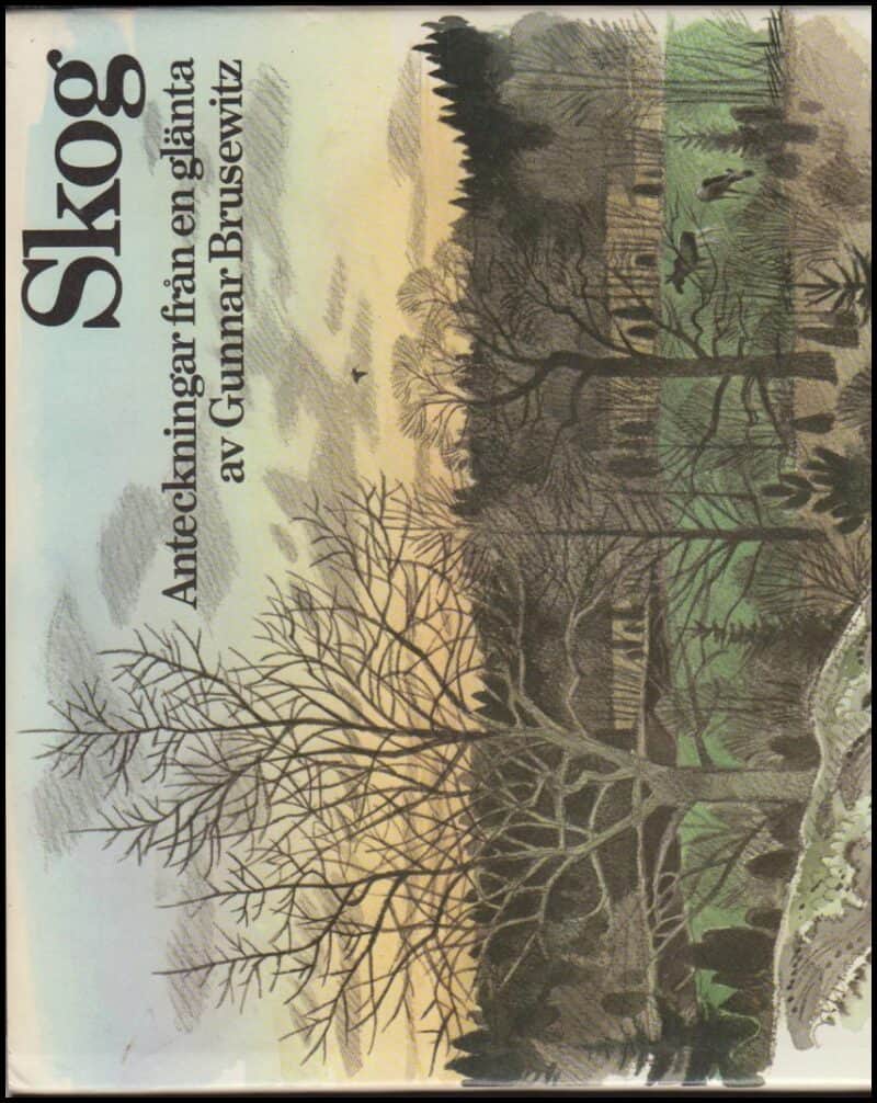 Gunnar Brusewitz : Skog