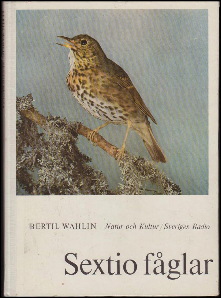 Bertil Wahlin : Sextio fåglar