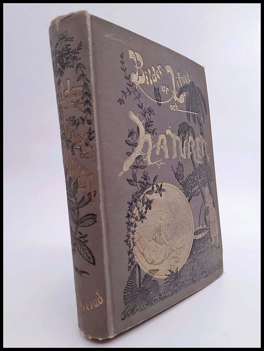 J. H. Kellogg : Bilder ur lifvet och naturen