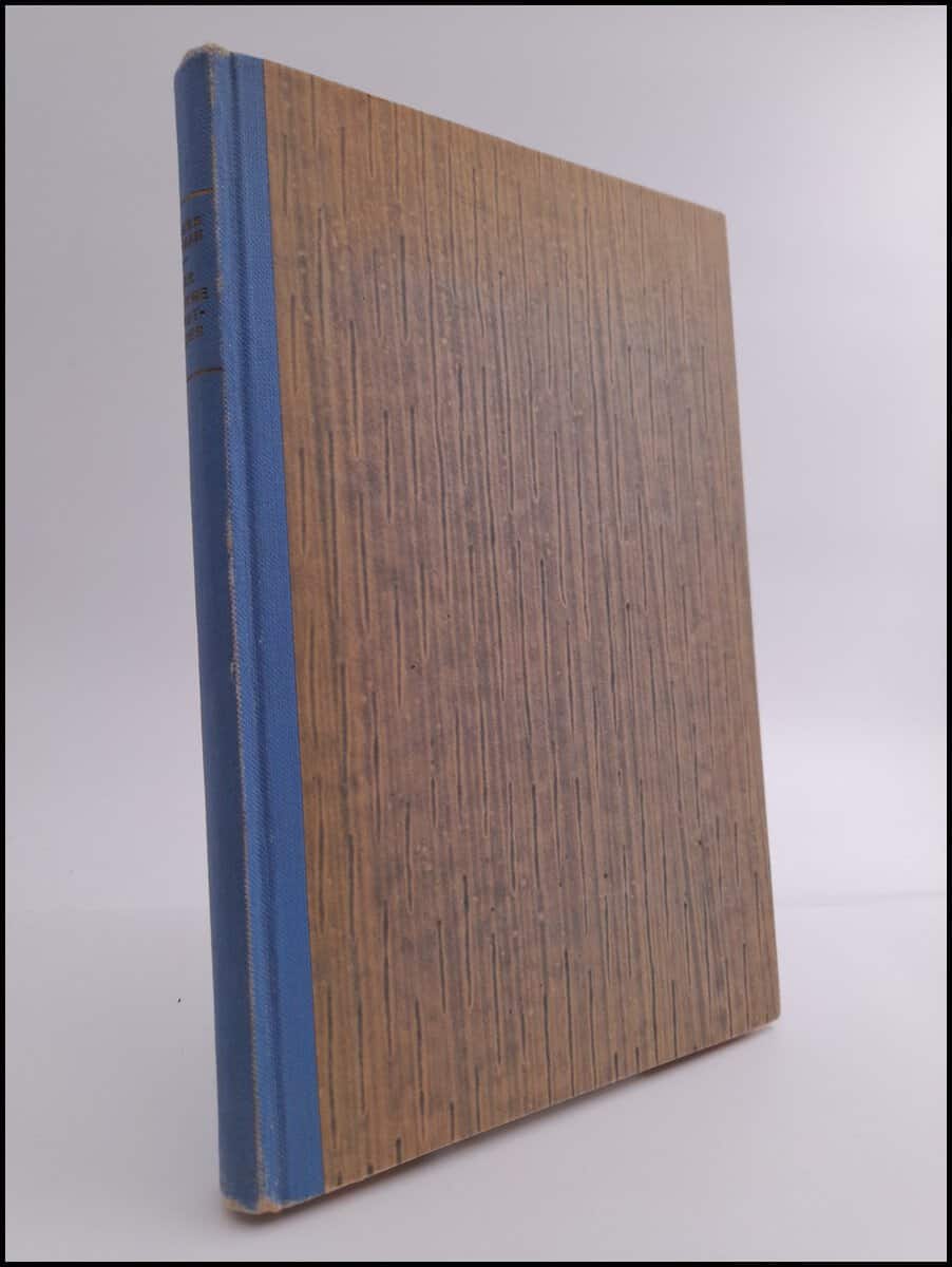 Birger Nerman : När Sverige kristnades