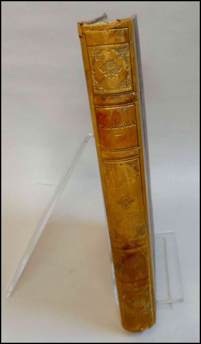 Émile Zola : Drömmen