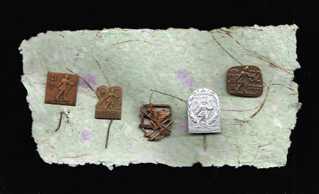 Vasaloppet. 5 nålar/pins