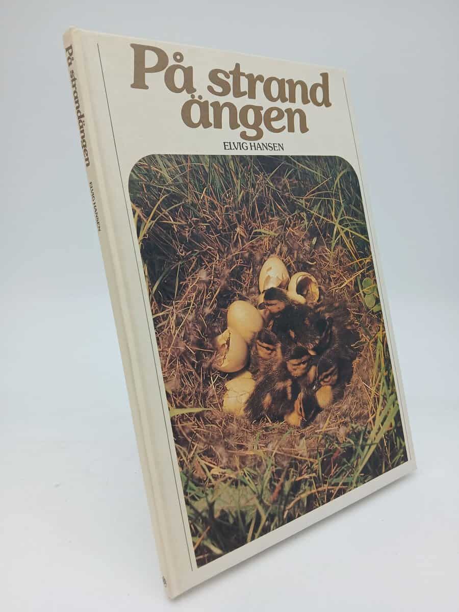 Elvig Hansen : På strandängen