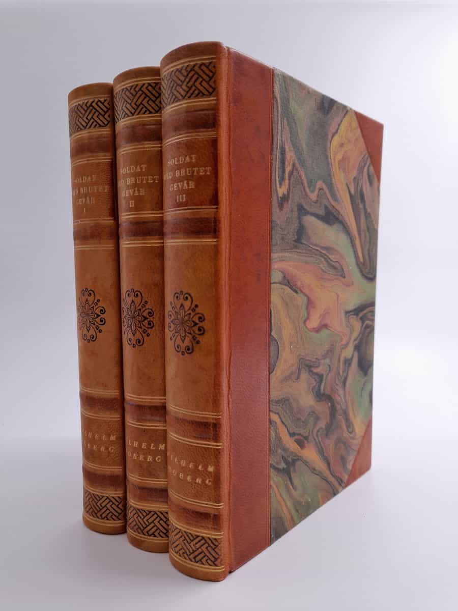 Vilhelm Moberg : Soldat med brutet gevär