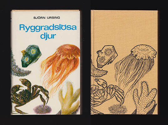 Björn Ursing : Ryggradslösa djur