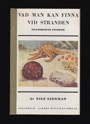 Nils Linnman : Vad man kan finna vid stranden