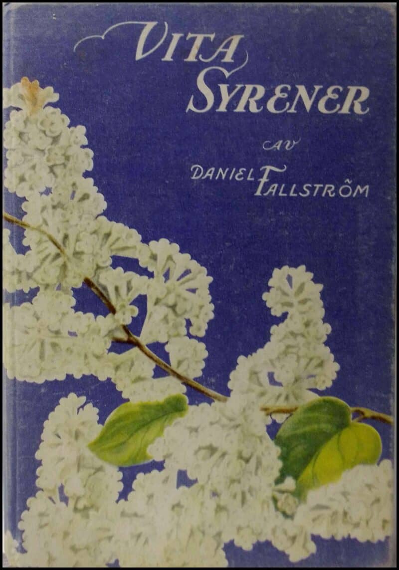 Daniel Fallström : Vita syrener