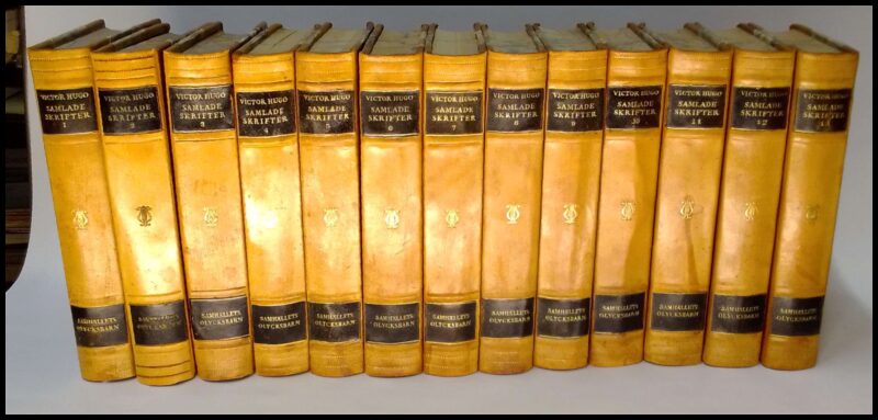 Victor Hugo : Samhällets olycksbarn