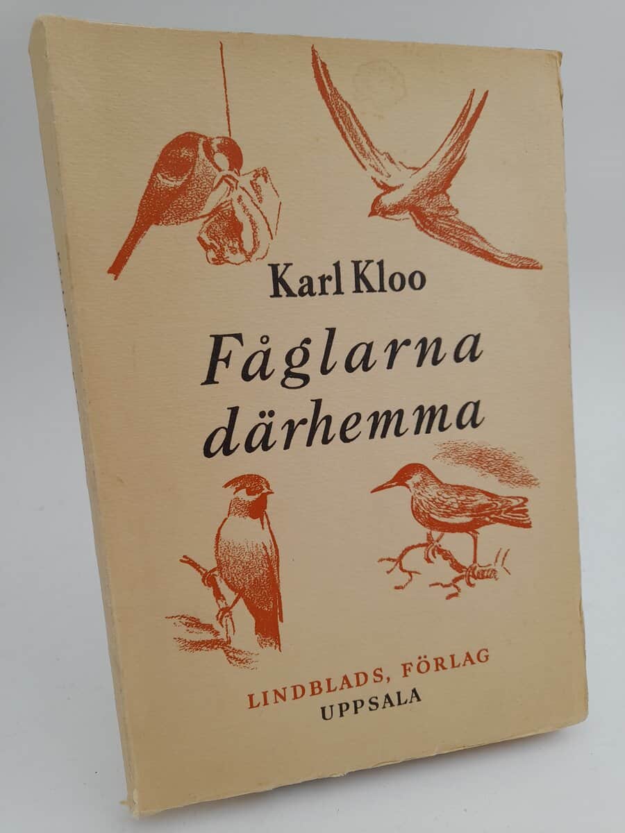 Karl Kloo : Fåglarna därhemma