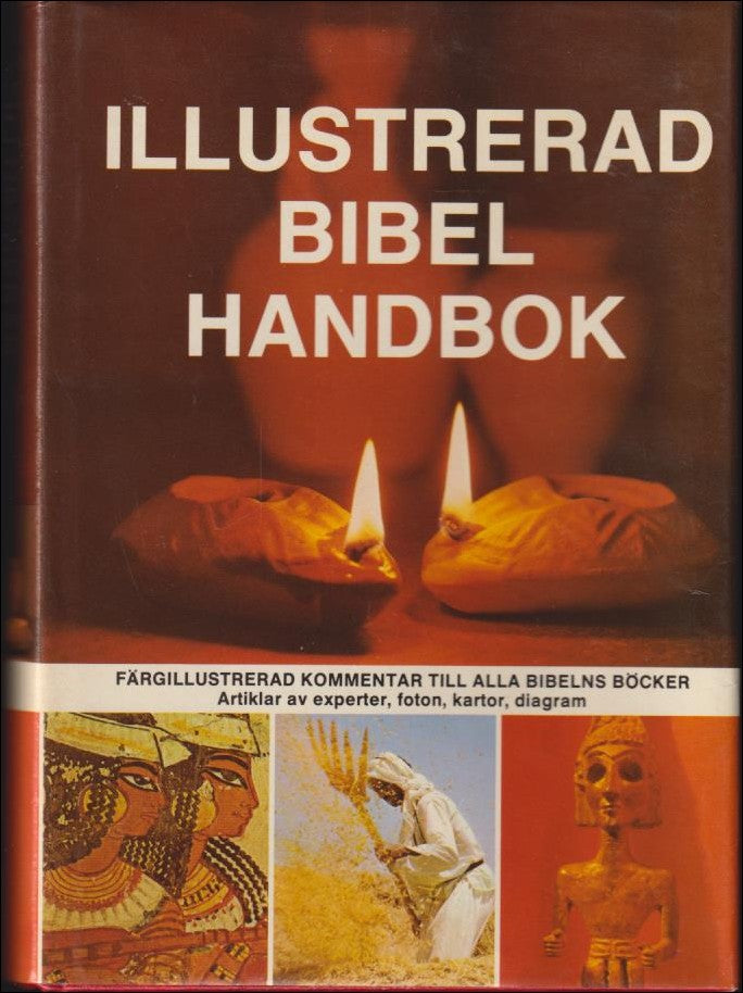 David Alexander : Illustrerad bibelhandbok