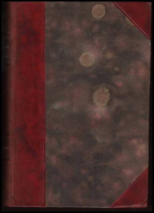 Alphonse Daudet : Fromont junior och Risler senior