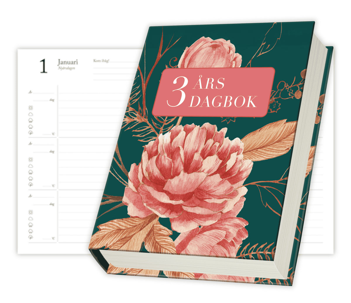 3 års dagbok