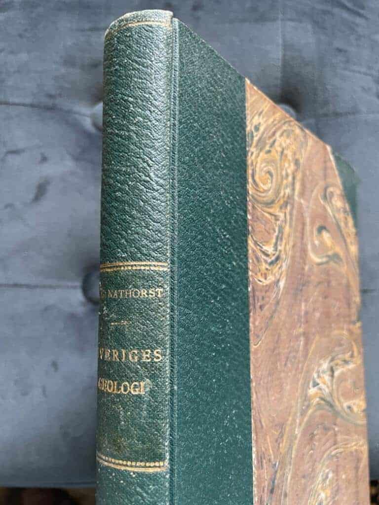 A. G. Nathorst : Sveriges geologi - allmänfattlig framställd