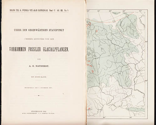 Alfred Gabriel Nathorst : Ueber den gegenwärtigen Standpunkt unserer Kenntniss von dem Vorkommen fossiler Glacialpflanzen