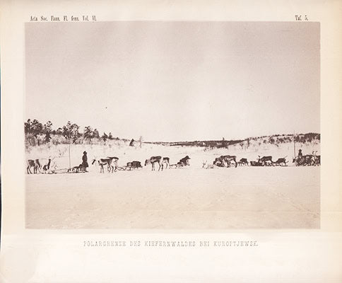 A. Osw. Kihlman : Pflanzenbiologische Studien aus Russisch Lappland. Ein Beitrag zur Kenntniss der regionalen Gliederung an der polaren Waldgrenze