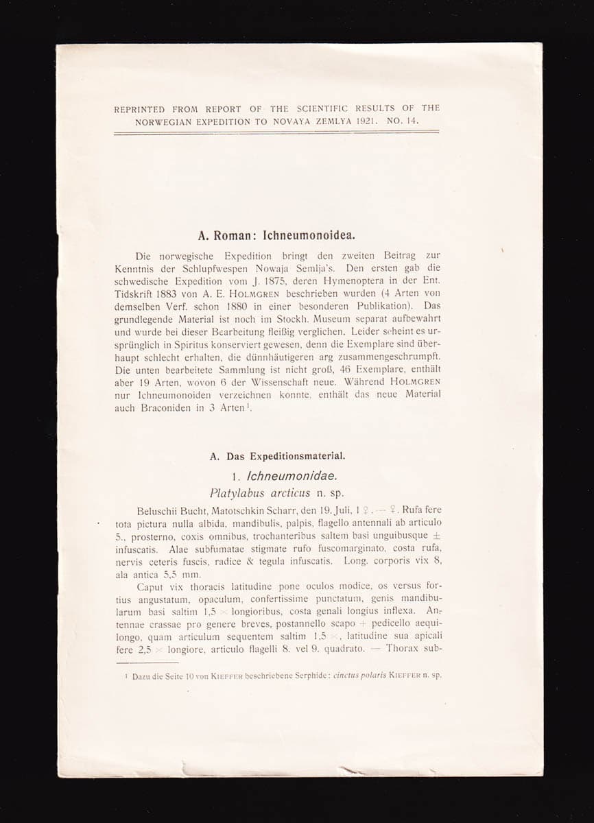 A. Roman : Ichneumonoidea