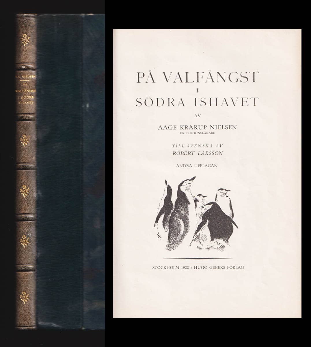 Aage Krarup Nielsen : På valfångst i södra Ishavet