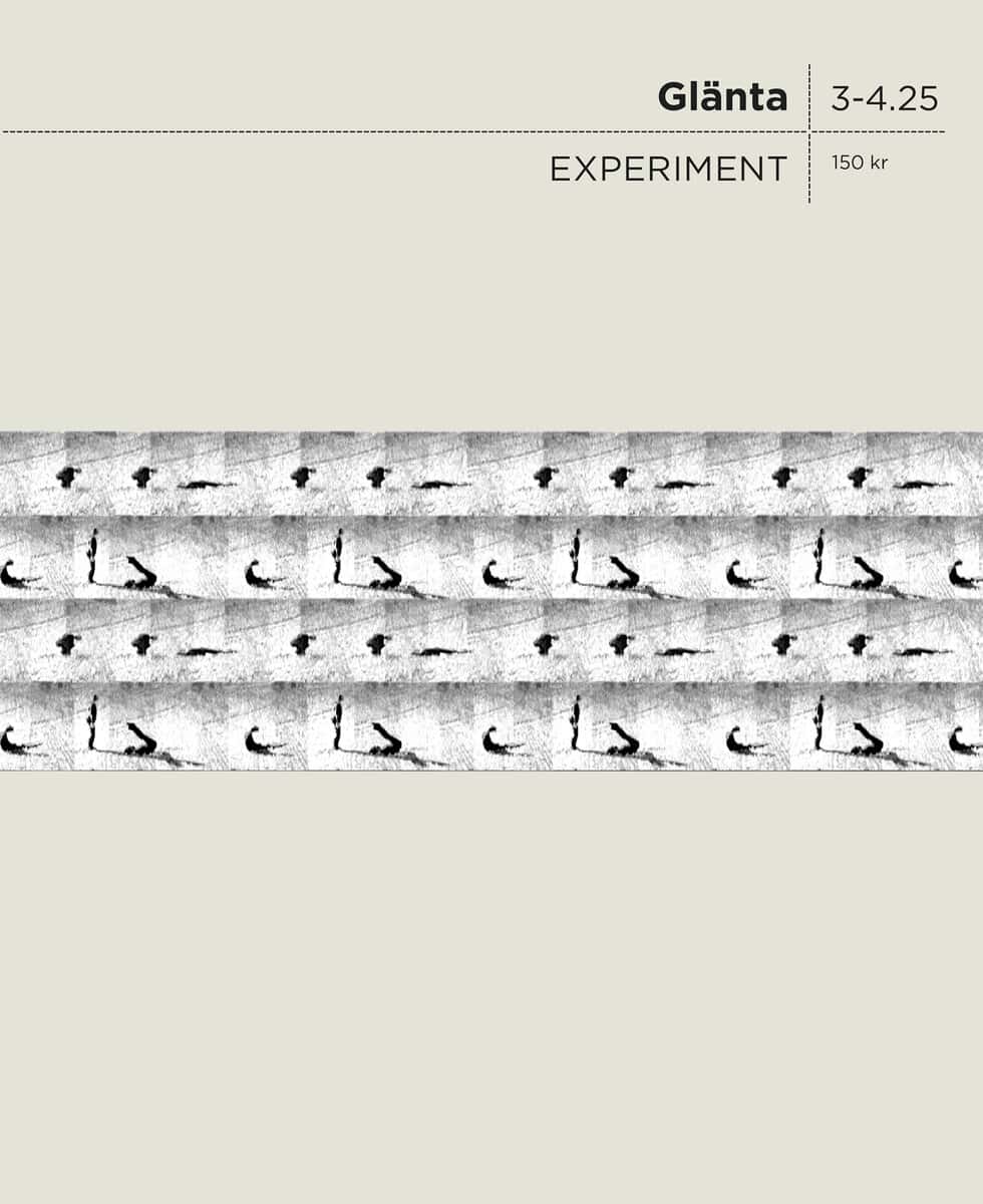 Aalto, Susanne ; Bigert, Mats ; Beijnoff, Sanna ; Ekdahl, Lina ; Ellervik, Ulf ; Enander, Jonas ; Franzén, Carin ; Granhag, Pär Anders ; Myrberg, Ida Hed ; Hellberg, Lars ; Holmstedt, Janna ; Höök, Fredrik ; Ighe, Ann ; Lewis, Jo ; Lund, Mikael ; Lundberg, Andreas ; Lykke Naderehva, Khashayar ; Masucci, Michele ; Milas, Natalia ; Palmås, Karl ; Shalabi, Donia ; L Sjöberg, Rickard ; Ståhl, Isabelle ; Turing, Alan ; Verdinelli, Cecilia : Glänta 3-4 (2025) Experiment