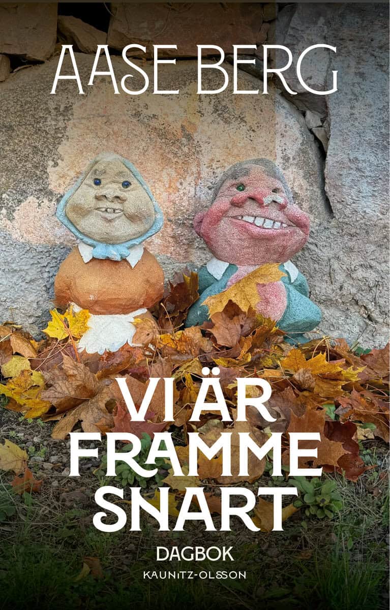 Aase Berg : Vi är framme snart : dagbok