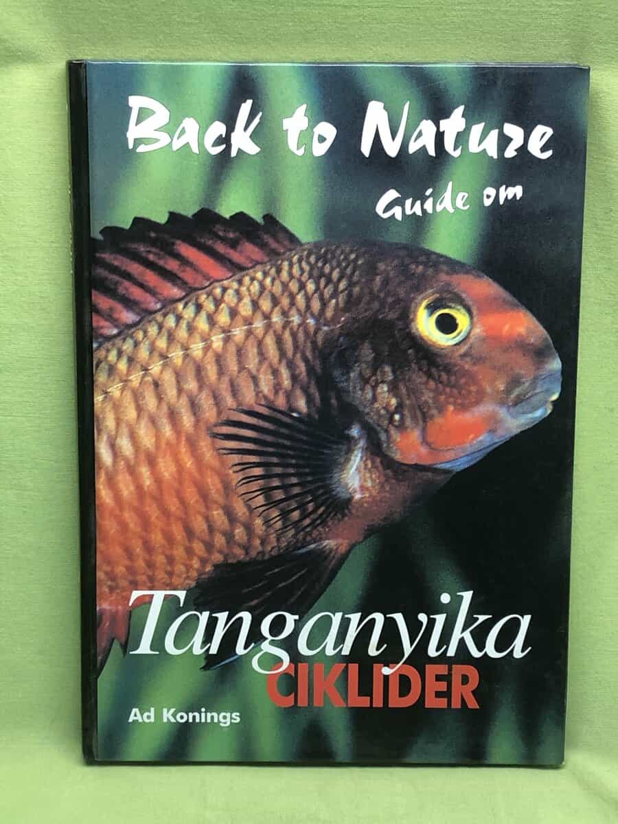 Ad Konings : Tanganyikaciklider