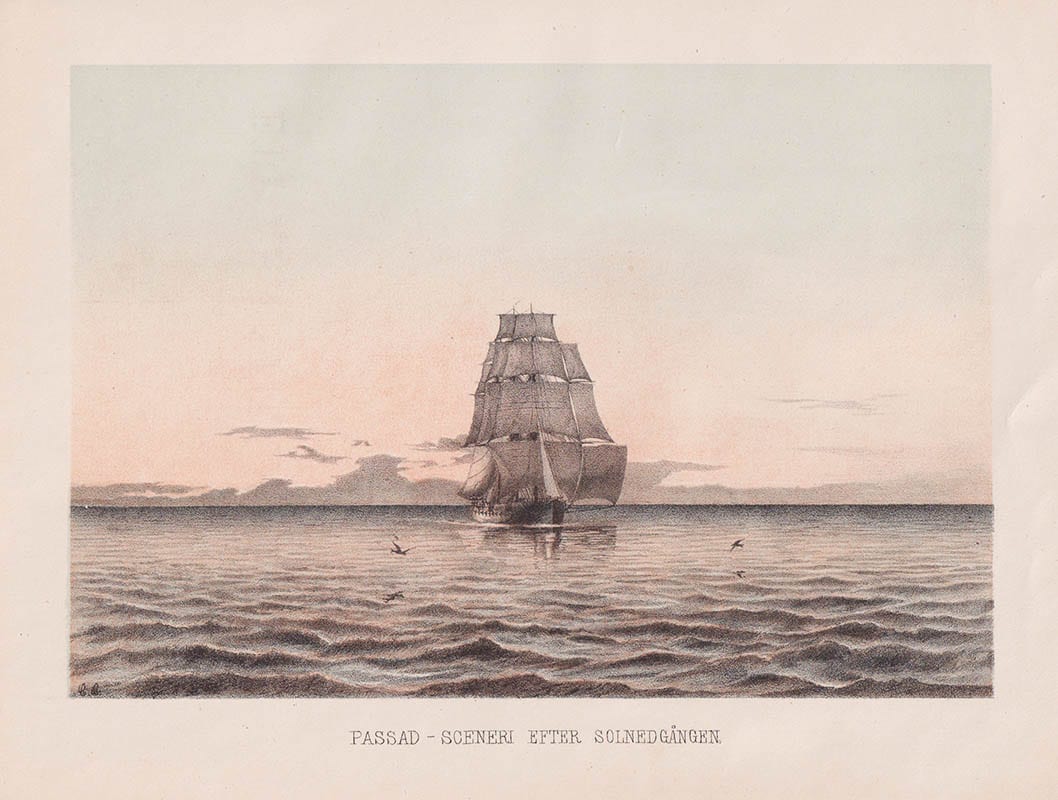 Adolf Ekelöf : Ett år i Stilla hafvet