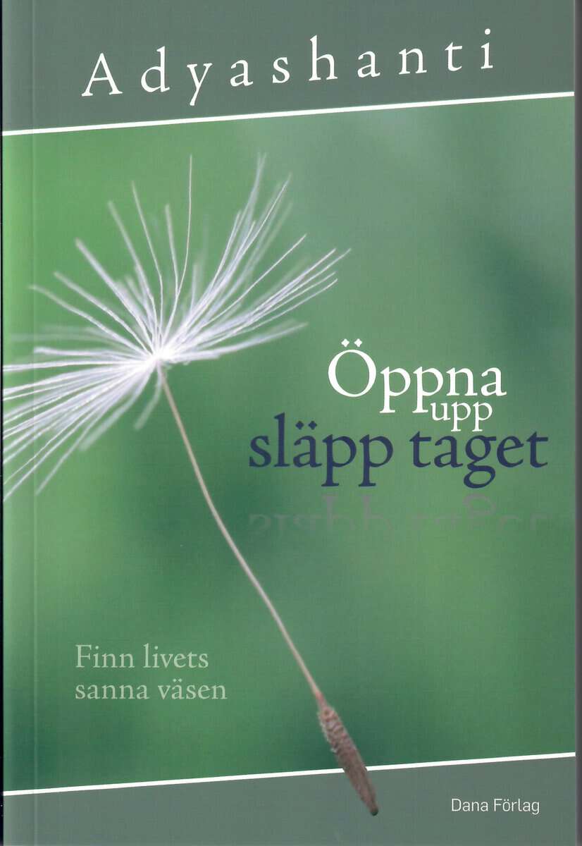 Adyashanti : Öppna upp, släpp taget : finn livets sanna väsen