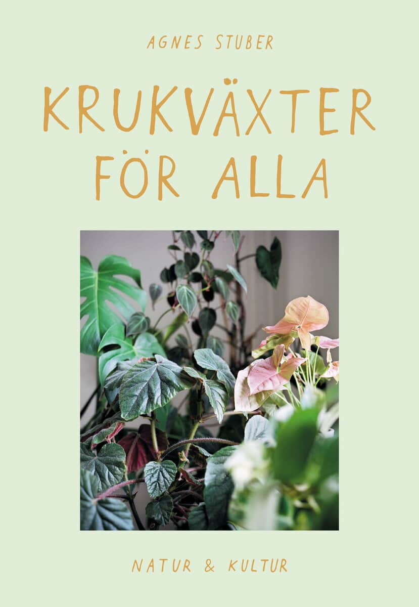 Agnes Stuber : Krukväxter för alla