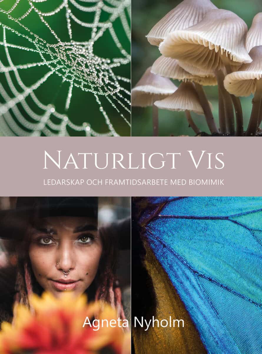 Agneta Nyholm : Naturligt vis : ledarskap och framtidsarbete med biomimik