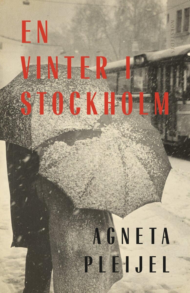 Agneta Pleijel : En vinter i Stockholm