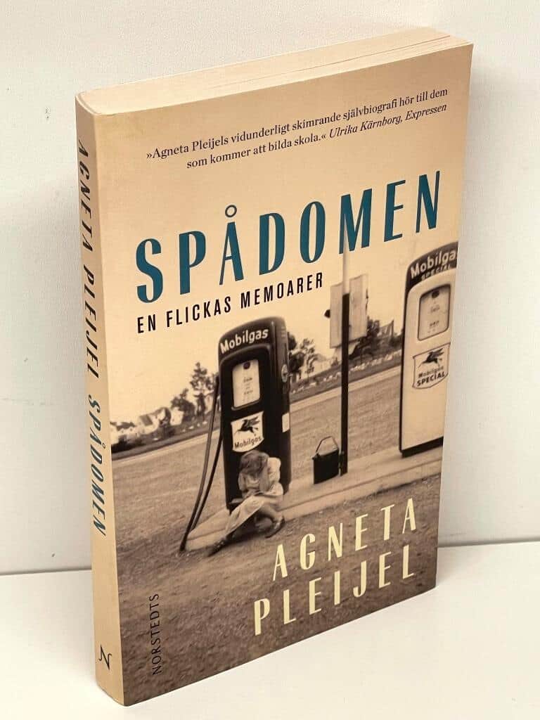 Agneta Pleijel : Spådomen