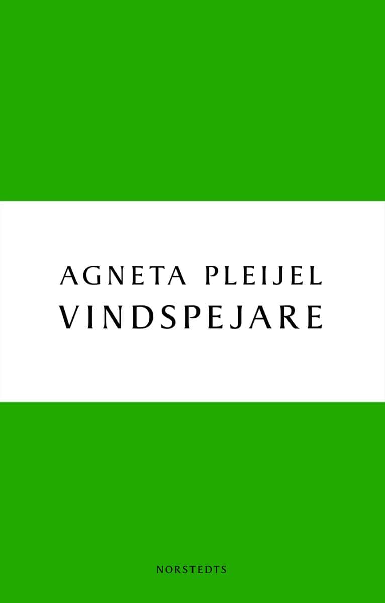 Agneta Pleijel : Vindspejare : boken om Abel målaren