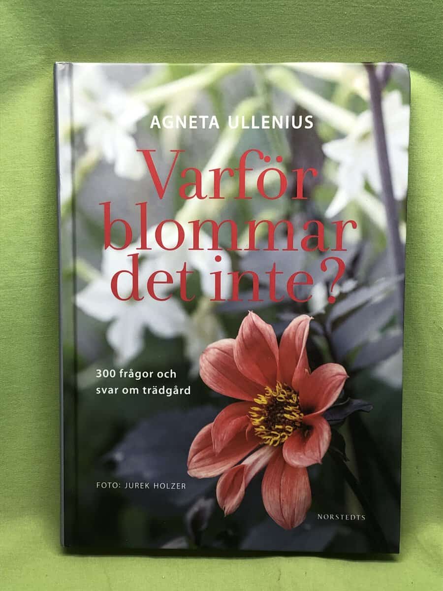 Agneta Ullenius : Varför blommar det inte?