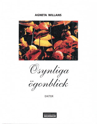 Agneta Willans : Osynliga ögonblick