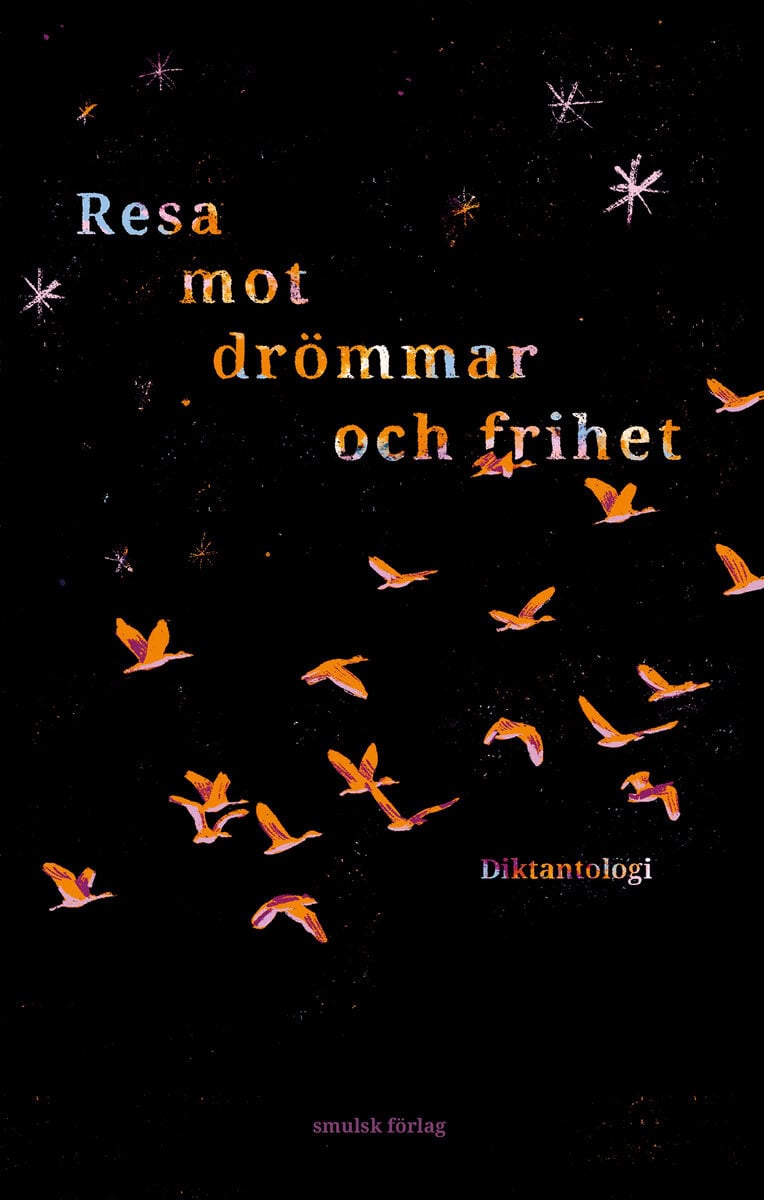 Zardadi, Ahmad ; Rezai, Ali ; Ahmadi, Zahra ; Naseri, Ali ; Alibakhsh, Tiamor ; Dowlatzai, Faiaz ; Hossaini, Matin : Resa mot drömmar och frihet
